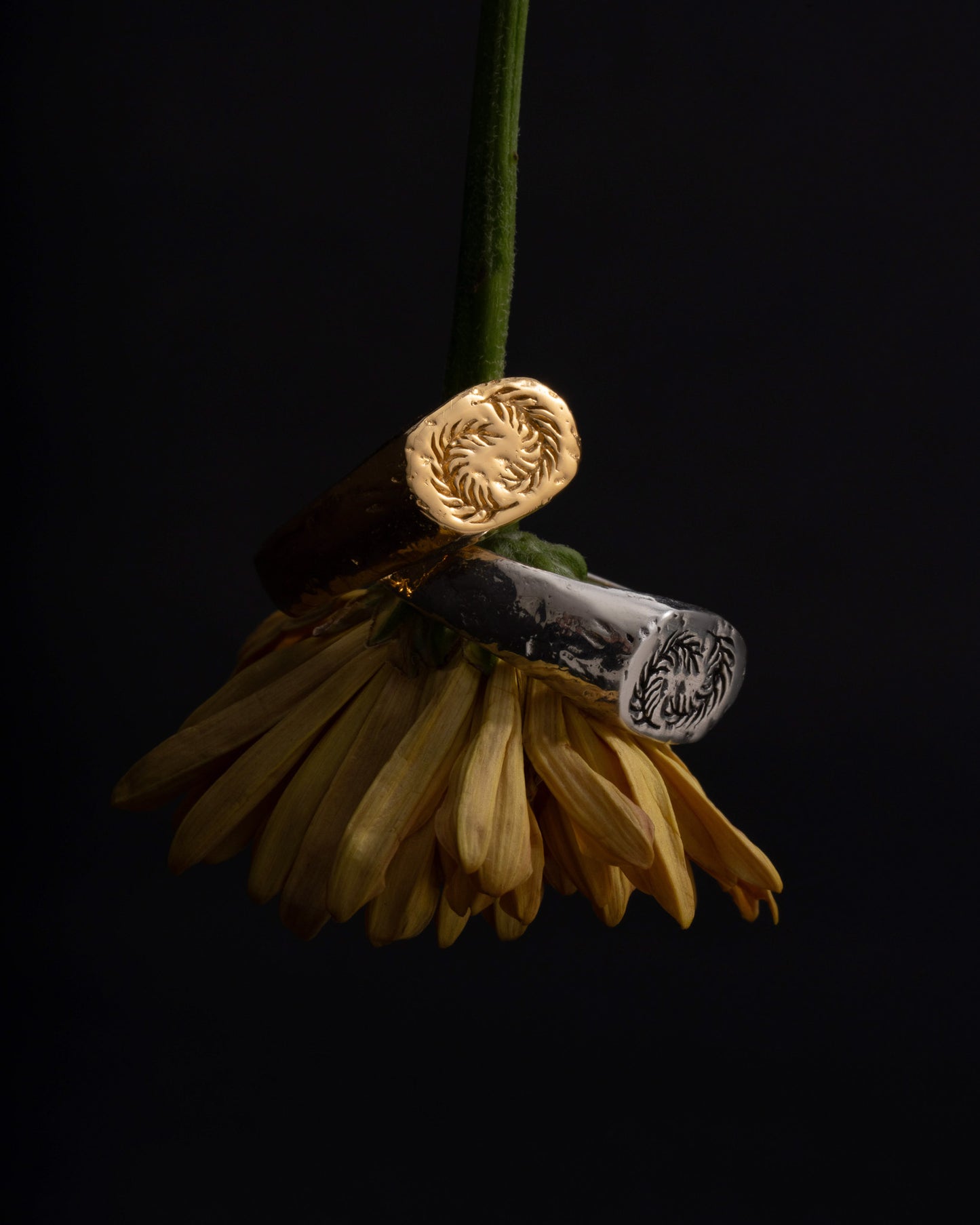 Caldera Ring